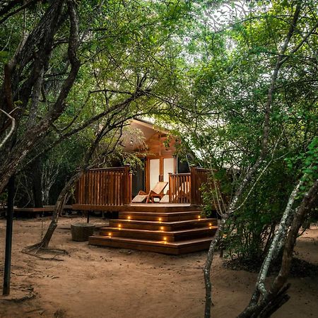 Leopard Reach Yala By Seven Angels Otel Tissamaharama Dış mekan fotoğraf